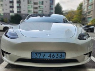 모델 Y RWD 2023년 10월 테슬라Y 중고차
