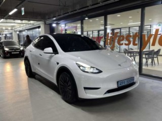 모델 Y RWD 2024년 3월 테슬라Y 중고차